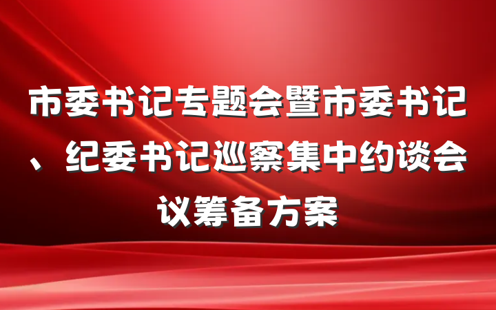市委书记专题会暨市委书记、纪委书记巡察集中约谈会议筹备方案