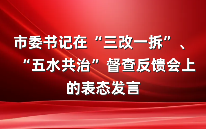 市委书记在“三改一拆”、“五水共治”督查反馈会上的表态发言