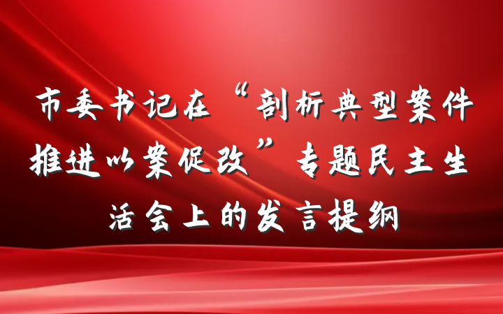 市委书记在“剖析典型案件推进以案促改”专题民主生活会上的发言提纲