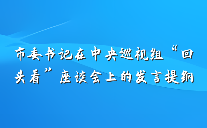 市委书记在中央巡视组“回头看”座谈会上的发言提纲