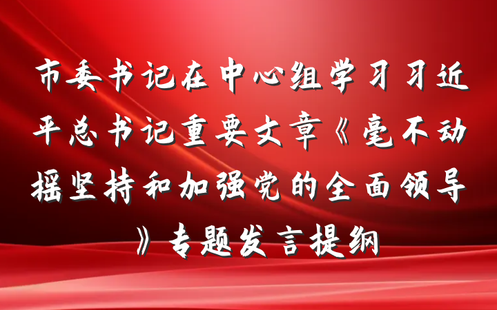 市委书记在中心组学习习近平总书记重要文章《毫不动摇坚持和加强党的全面领导》专题发言提纲