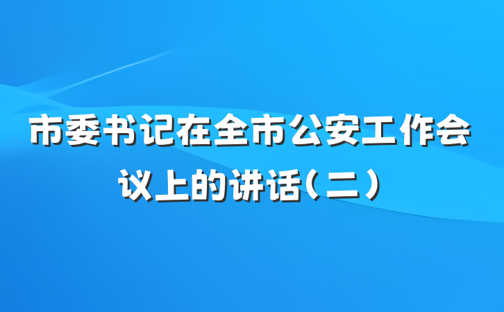 市委书记在全市公安工作会议上的讲话（二）