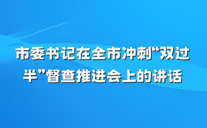 市委书记在全市冲刺“双过半”督查推进会上的讲话