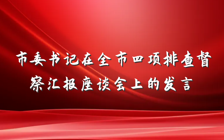 市委书记在全市四项排查督察汇报座谈会上的发言