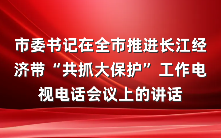 市委书记在全市推进长江经济带“共抓大保护”工作电视电话会议上的讲话