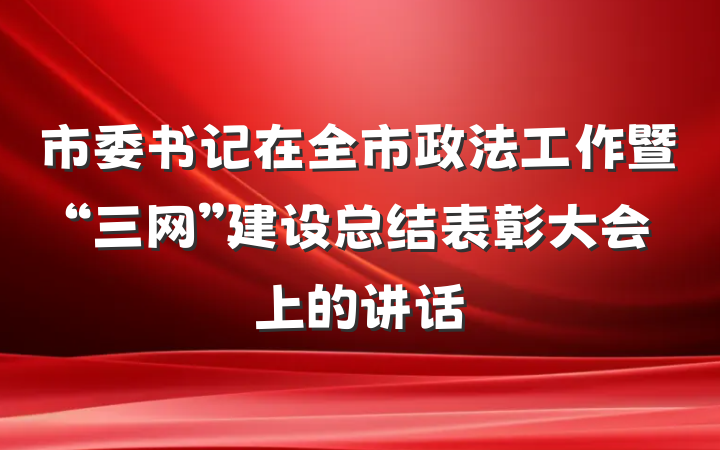 市委书记在全市政法工作暨“三网”建设总结表彰大会上的讲话