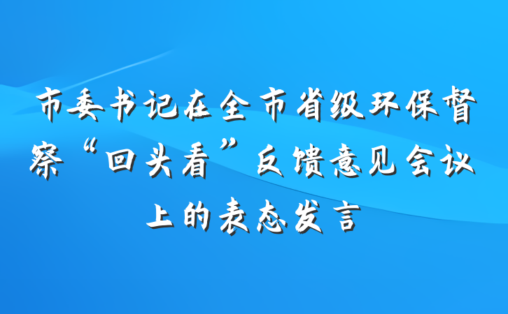 市委书记在全市省级环保督察“回头看”反馈意见会议上的表态发言