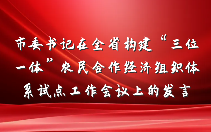 市委书记在全省构建“三位一体”农民合作经济组织体系试点工作会议上的发言