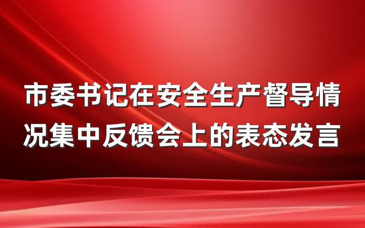 市委书记在安全生产督导情况集中反馈会上的表态发言
