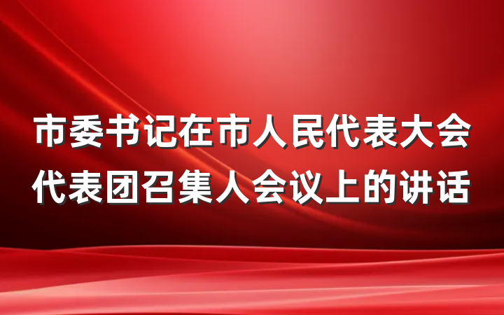 市委书记在市人民代表大会代表团召集人会议上的讲话
