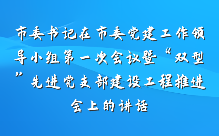 市委书记在市委党建工作领导小组第一次会议暨“双型”先进党支部建设工程推进会上的讲话
