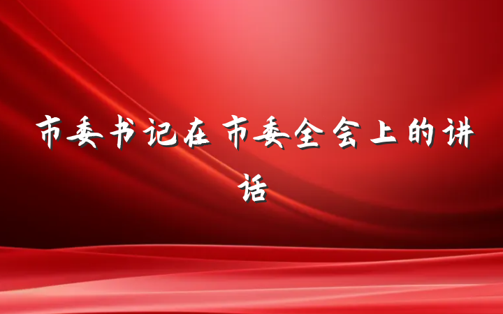 市委书记在市委全会上的讲话