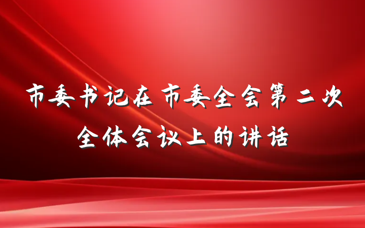市委书记在市委全会第二次全体会议上的讲话