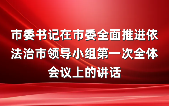 市委书记在市委全面推进依法治市领导小组第一次全体会议上的讲话