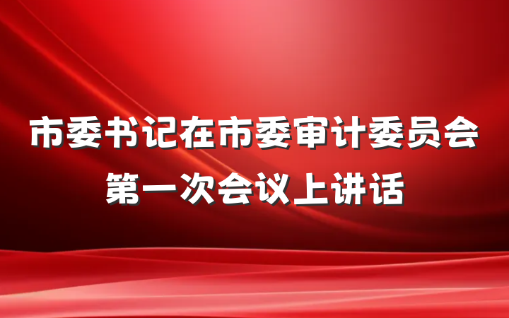 市委书记在市委审计委员会第一次会议上讲话