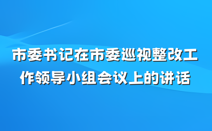 市委书记在市委巡视整改工作领导小组会议上的讲话