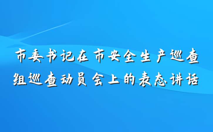 市委书记在市安全生产巡查组巡查动员会上的表态讲话