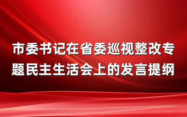 市委书记在省委巡视整改专题民主生活会上的发言提纲
