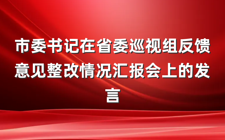 市委书记在省委巡视组反馈意见整改情况汇报会上的发言