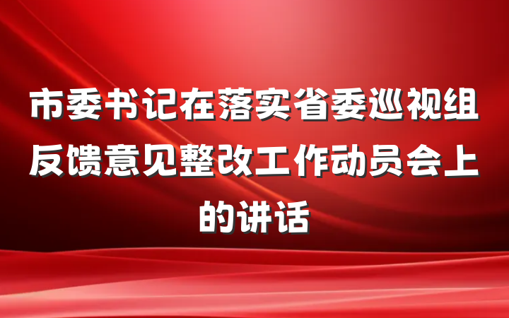 市委书记在落实省委巡视组反馈意见整改工作动员会上的讲话
