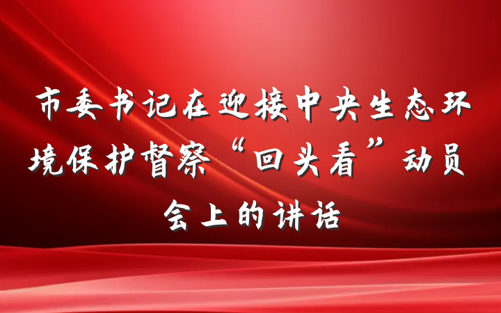 市委书记在迎接中央生态环境保护督察“回头看”动员会上的讲话