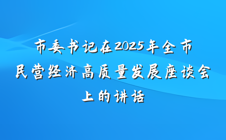 市委书记在2025年全市民营经济高质量发展座谈会上的讲话