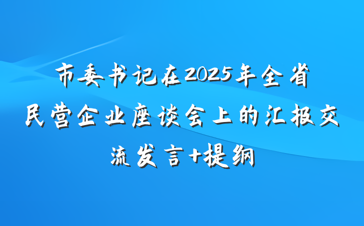 市委书记在2025年全省民营企业座谈会上的汇报交流发言 提纲