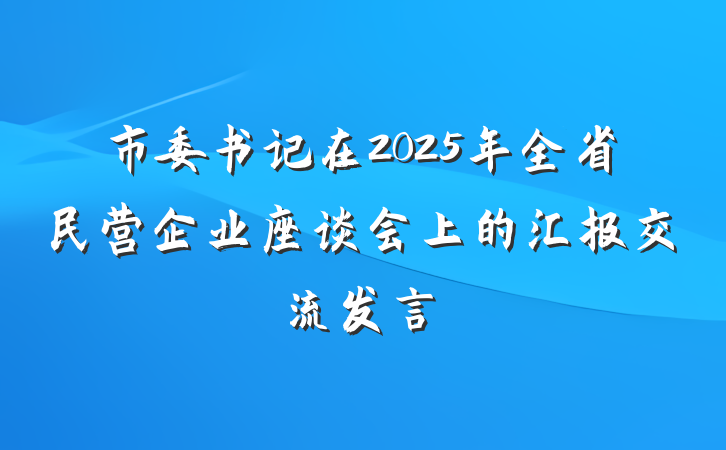 市委书记在2025年全省民营企业座谈会上的汇报交流发言