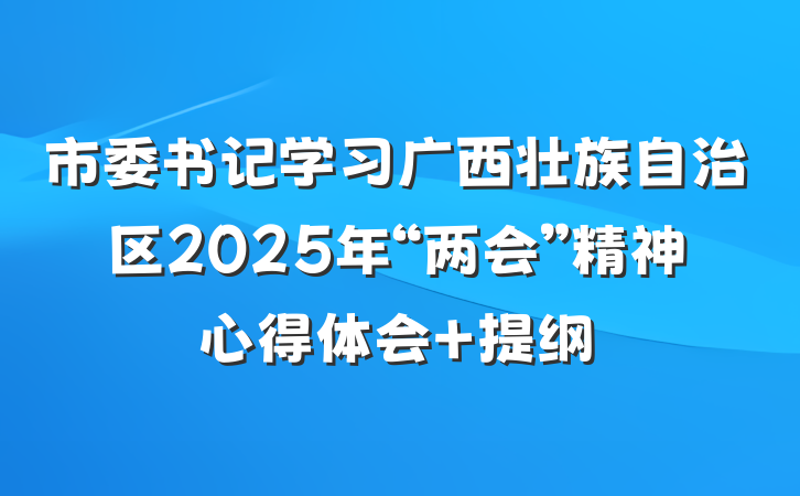 市委书记学习广西壮族自治区2025年“两会”精神心得体会 提纲