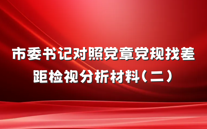 市委书记对照党章党规找差距检视分析材料（二）