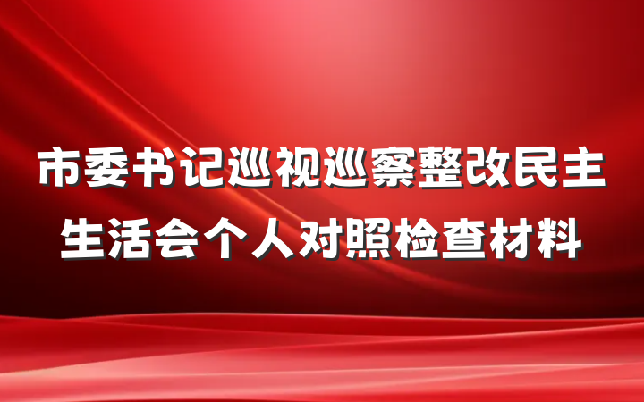 市委书记巡视巡察整改民主生活会个人对照检查材料