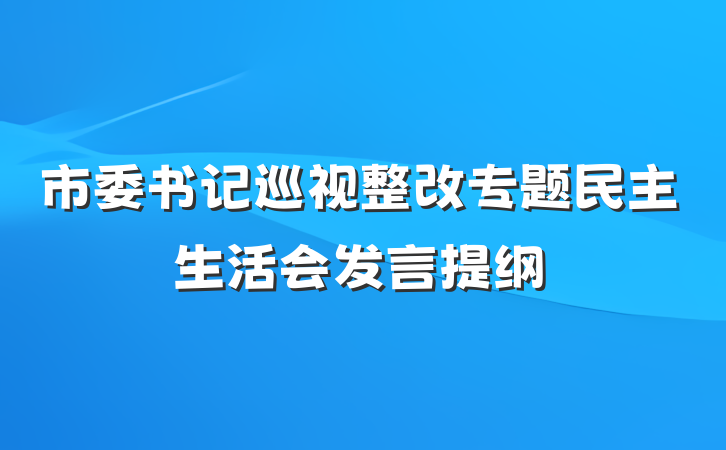 市委书记巡视整改专题民主生活会发言提纲