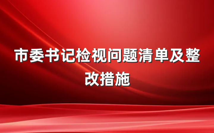 市委书记检视问题清单及整改措施