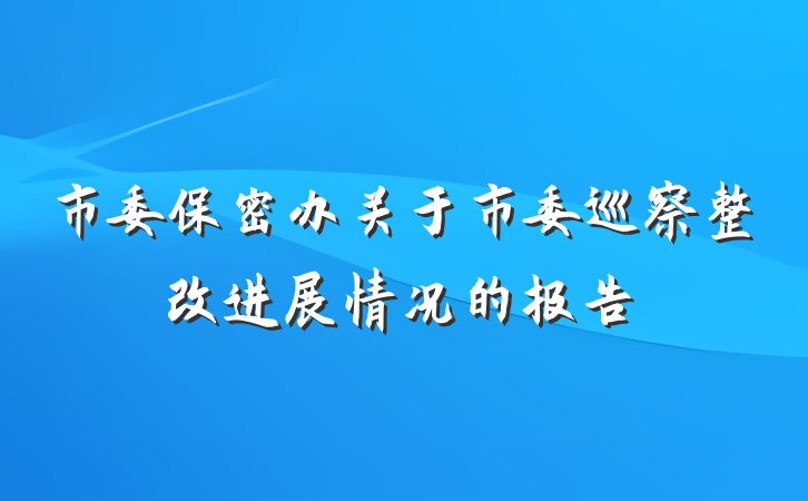 市委保密办关于市委巡察整改进展情况的报告