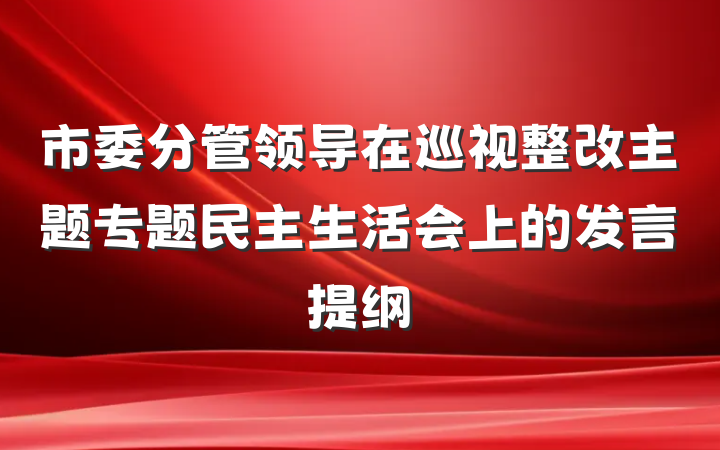 市委分管领导在巡视整改主题专题民主生活会上的发言提纲