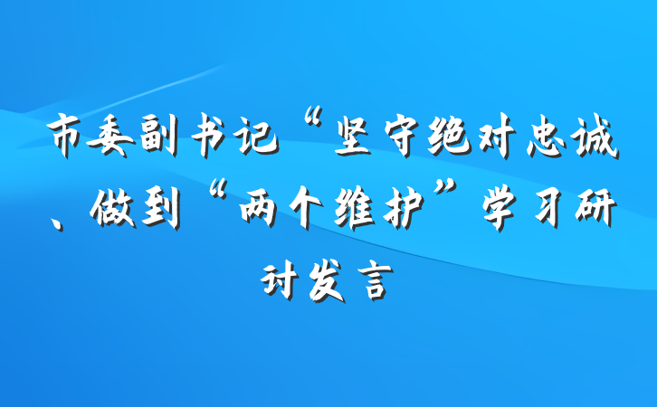 市委副书记“坚守绝对忠诚、做到“两个维护”学习研讨发言
