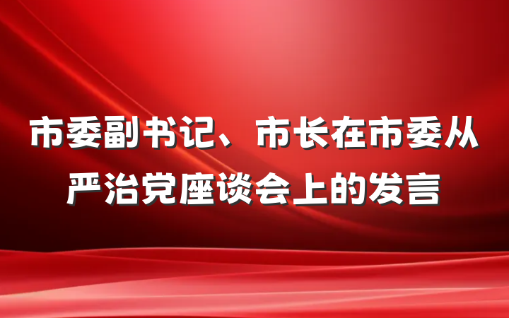 市委副书记、市长在市委从严治党座谈会上的发言