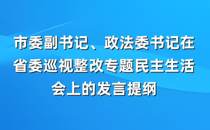 市委副书记、政法委书记在省委巡视整改专题民主生活会上的发言提纲
