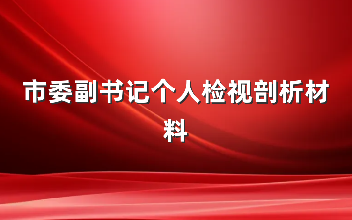 市委副书记个人检视剖析材料