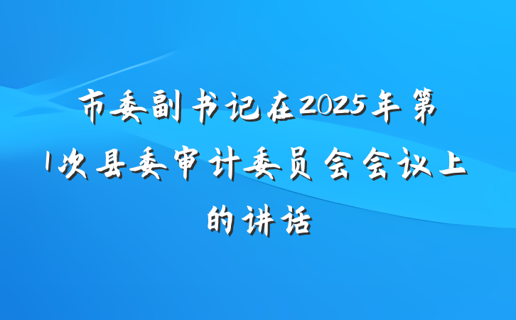 市委副书记在2025年第1次县委审计委员会会议上的讲话