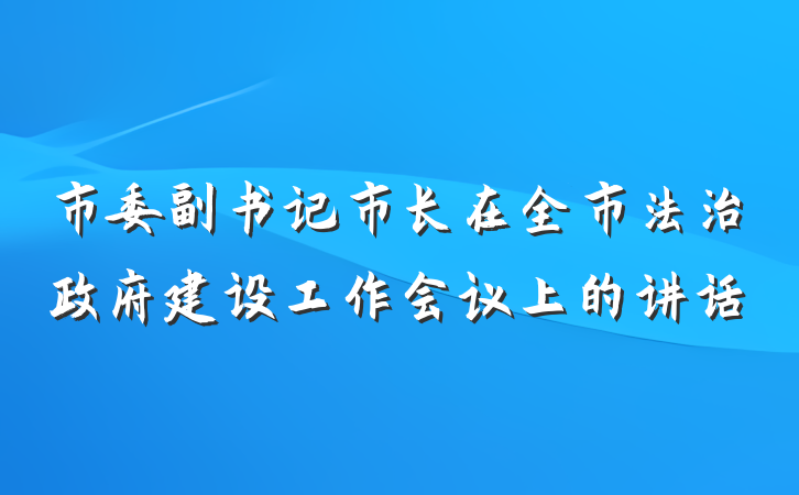市委副书记市长在全市法治政府建设工作会议上的讲话