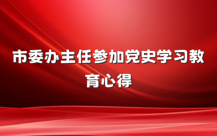 市委办主任参加党史学习教育心得