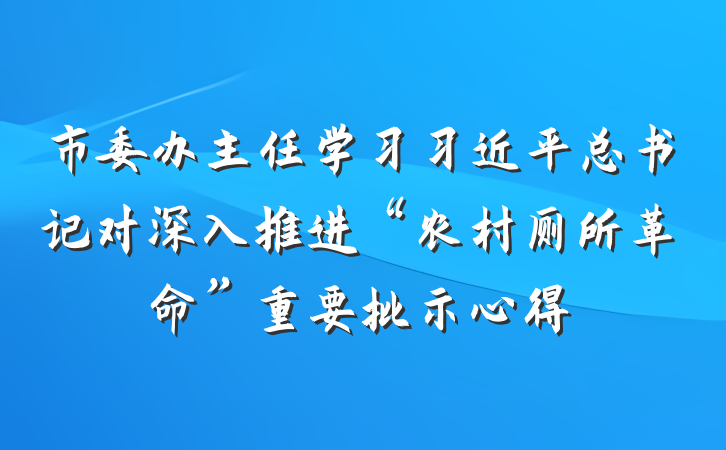 市委办主任学习习近平总书记对深入推进“农村厕所革命”重要批示心得