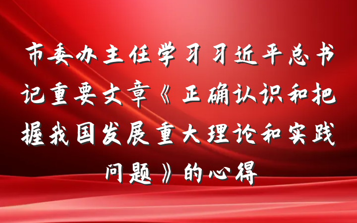 市委办主任学习习近平总书记重要文章《正确认识和把握我国发展重大理论和实践问题》的心得
