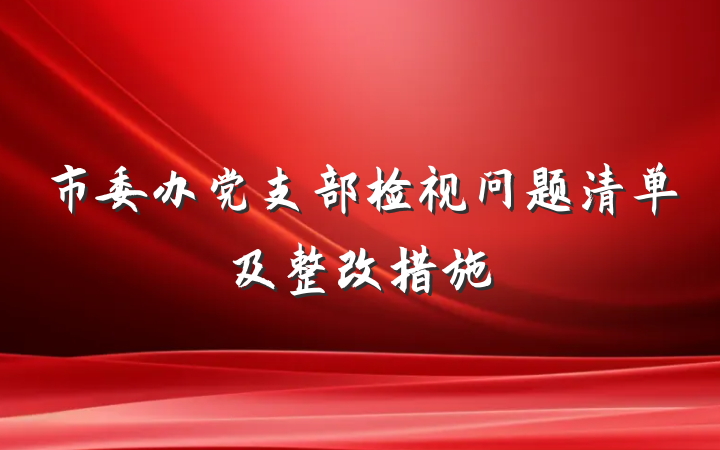 市委办党支部检视问题清单及整改措施