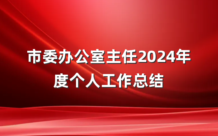 市委办公室主任2024年度个人工作总结