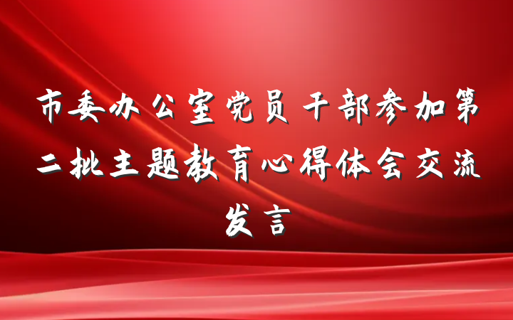 市委办公室党员干部参加第二批主题教育心得体会交流发言