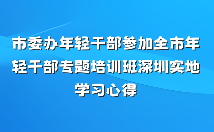 市委办年轻干部参加全市年轻干部专题培训班深圳实地学习心得