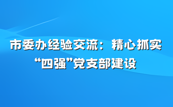 市委办经验交流：精心抓实“四强”党支部建设