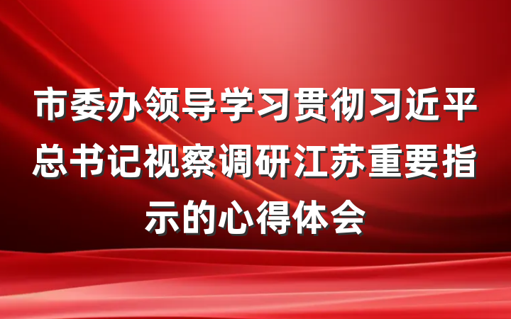 市委办领导学习贯彻习近平总书记视察调研江苏重要指示的心得体会